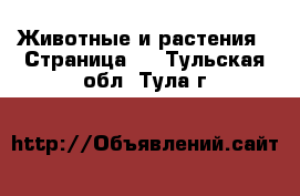 Животные и растения - Страница 9 . Тульская обл.,Тула г.
